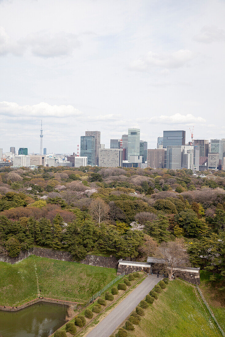 Higashi-Koen im Frühling mit Wolkenkratzer im Viertel Marunouchi und Tokyo Skytree im Hintergrund, Chiyoda-ku, Tokio, Japan