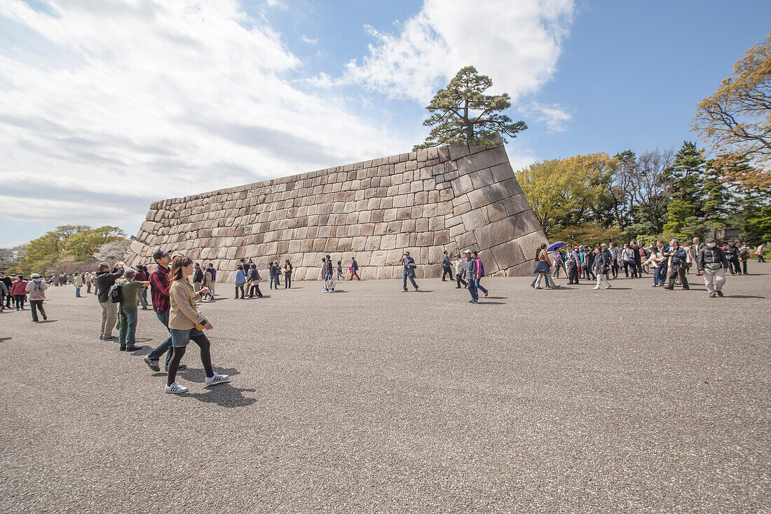 Wall of former Castle of Edo with trees and visitors, Chiyoda-ku, Tokyo, Japan