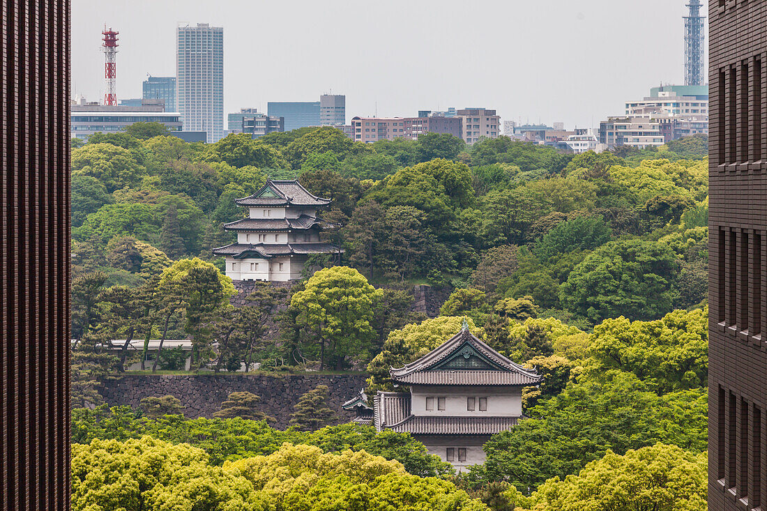 Kaiserpalast in einer Lücke zwischen zwei Hochhäusern, Chiyoda-ku, Tokio, Japan