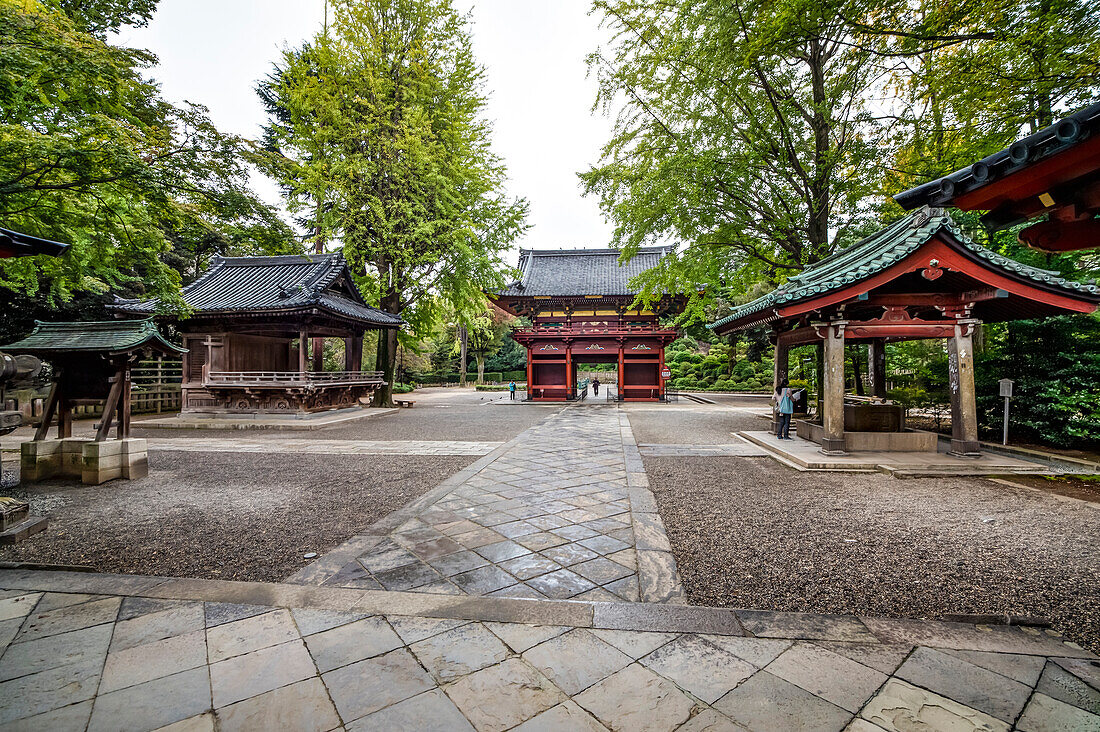 Japaner besuchen den Nezu-Schrein, Yanaka, Taito-ku, Tokio, Japan