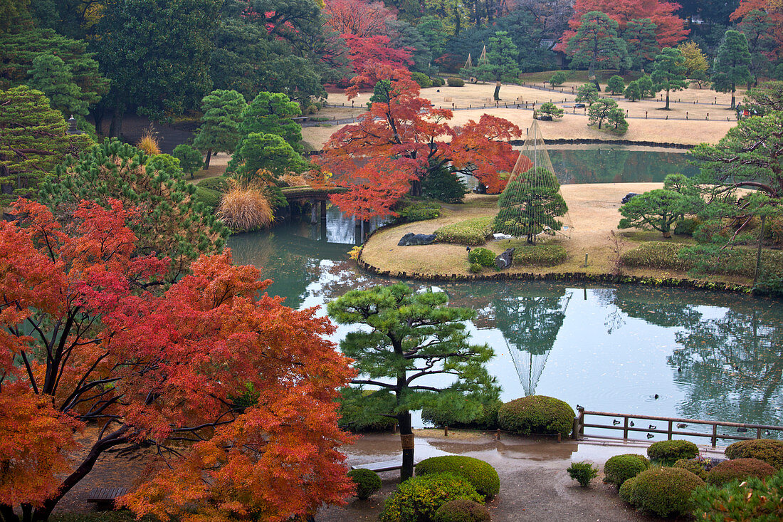 Rikugien Garden in Autumn, Taito-ku, Tokyo, Japan