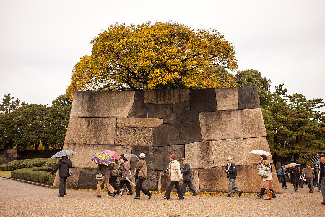 A group of Japanese Tourists passing the Inner Wall in East Garden of Imperial Palace, Chiyoda-ku, Tokyo, Japan