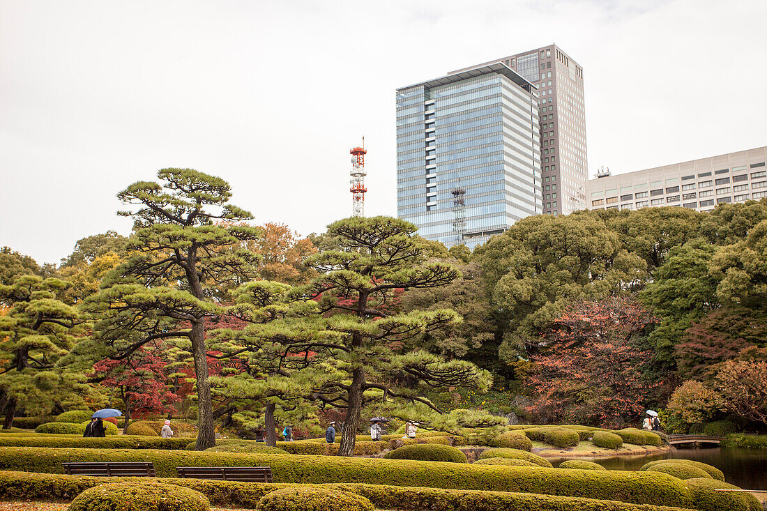 Ni-No-Maru Garten im Herbst an einem Regentag, Chiyoda-ku, Tokio, Japan