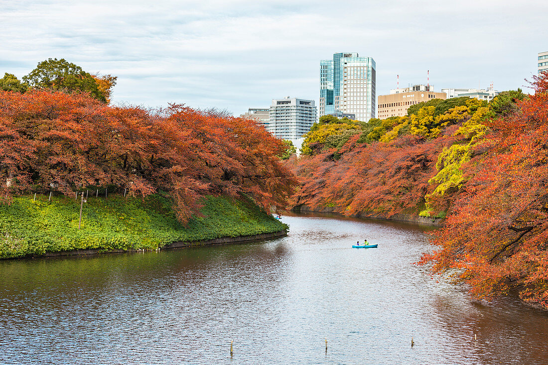 Chidori-ga-fuchi Wassergraben mit Boot im Herbst, Chiyoda-ku, Tokio, Japan