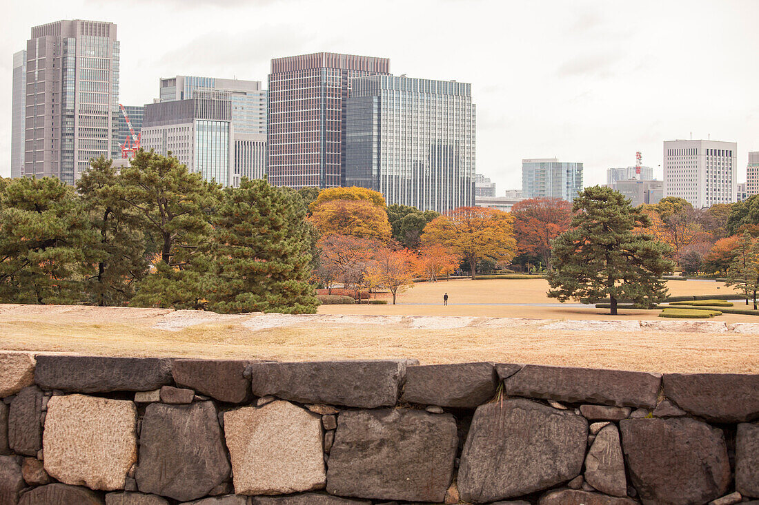 Blick vom Tenshu-dai über Honmaru Garten des Kaiserpalast, Chiyoda-ku, Tokio, Japan