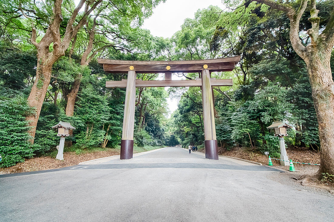 Ichi-no-Torii am Meiji Schrein, Shibuya, Tokio, Japan