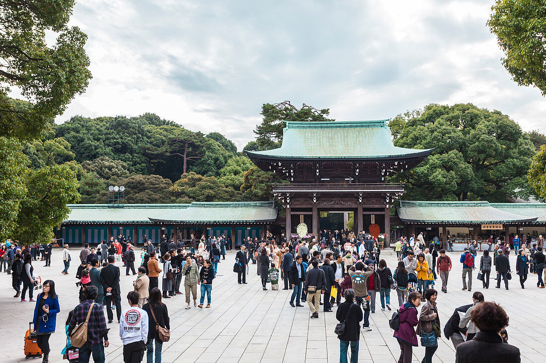 Touristen im inneren Schreinbezirk des Meiji Schrein, Shibuya, Tokio, Japan