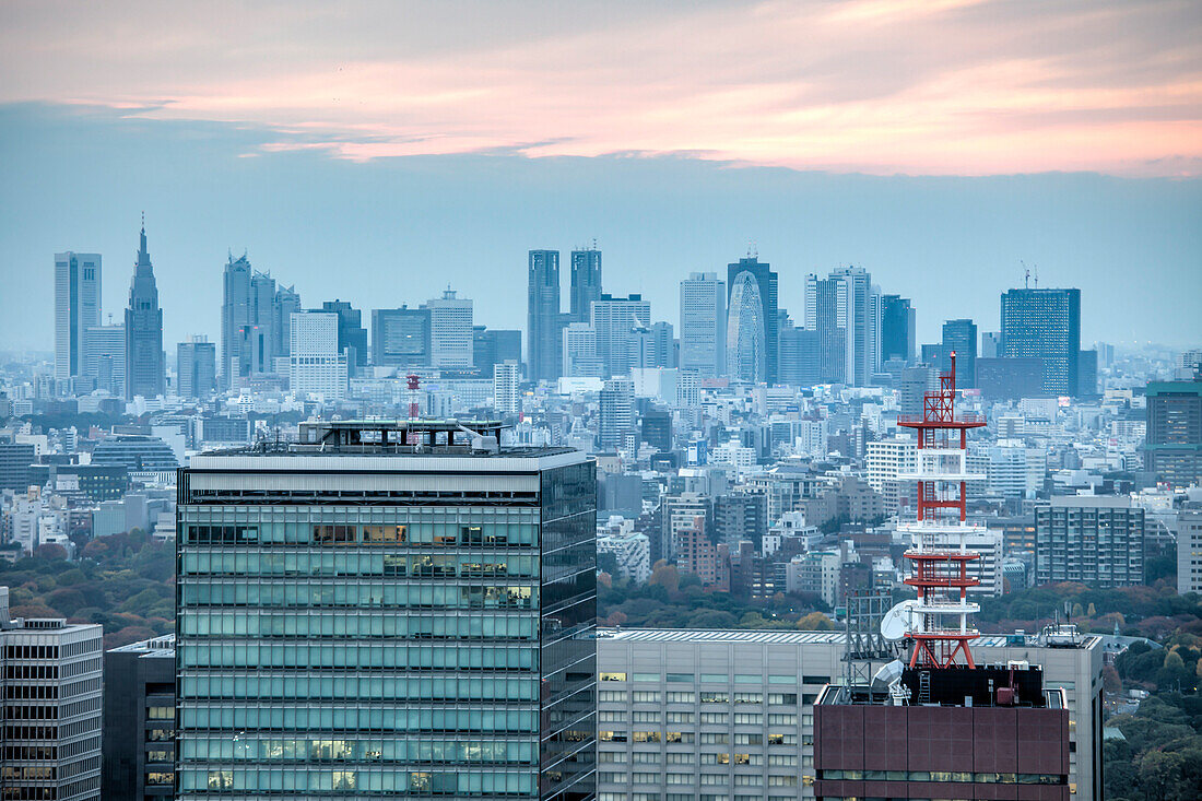 Stadtansicht Richtung Shinjuku vom Mandarin Oriental, Nihonbashi, Tokio, Japan