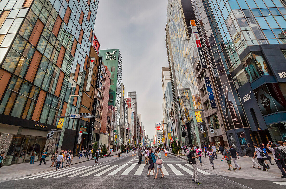 Zebrastreifen mit Fußgängern am Wochenende in der Ginza, Chuo-ku, Tokio, Japan
