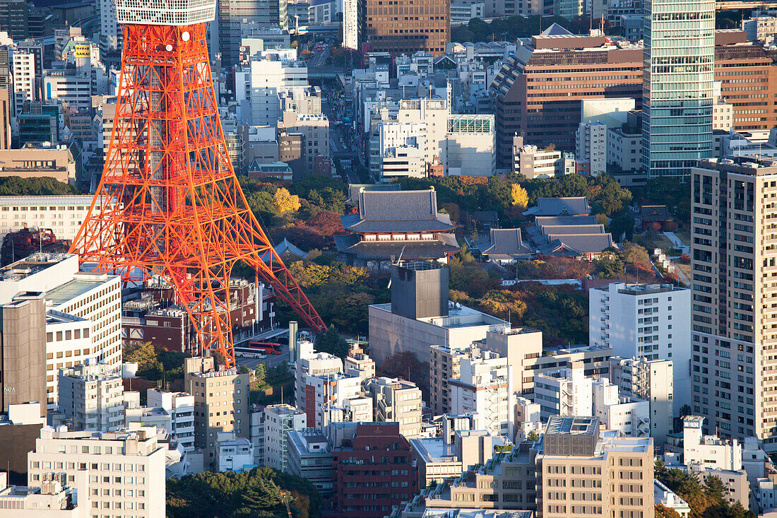 Tokyo Tower and Zojo-ji seen from above in autumn, Minato-ku, Tokyo, Japan