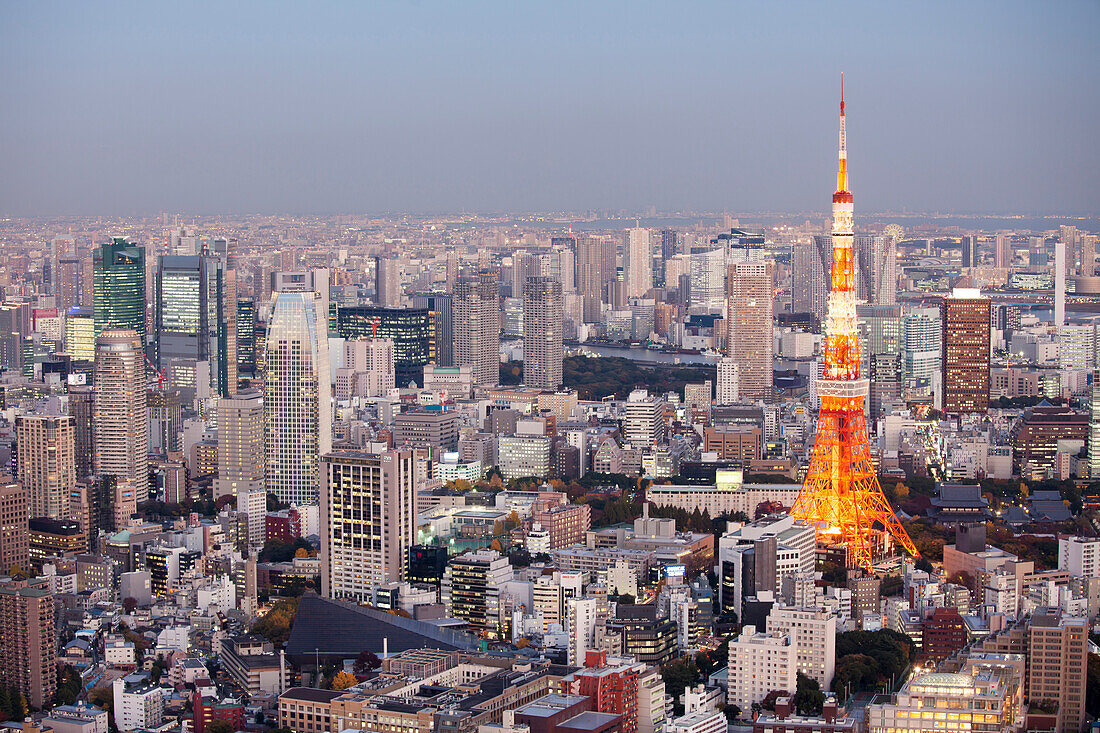 Tokyo Tower und Shimbashi von oben gesehen zur blauen Stunde, Minato-ku, Tokio, Japan