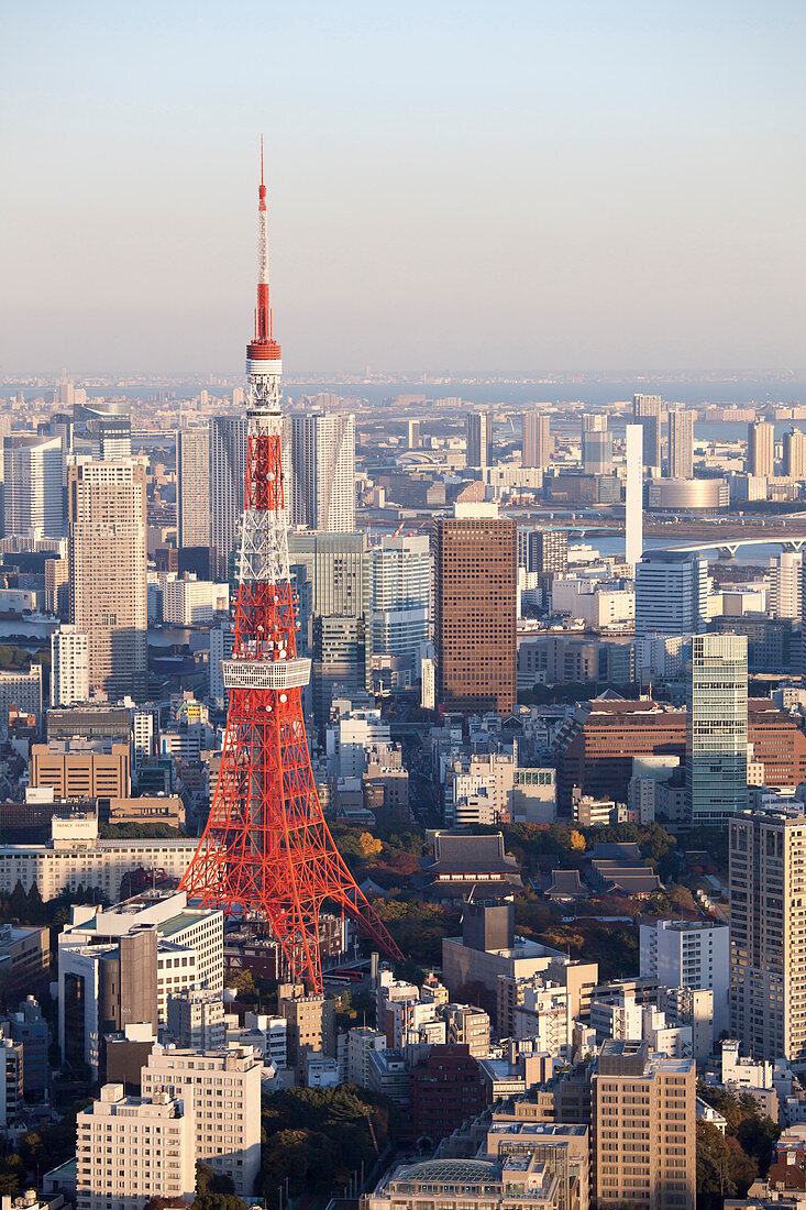 Tokyo Tower und World Trade Center von oben gesehen, Minato-ku, Tokio, Japan