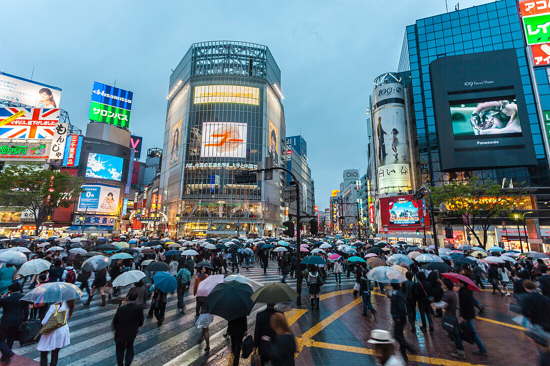 Berühmter Fußgängerüberweg in Shibuya bei Regen, Tokio, Japan