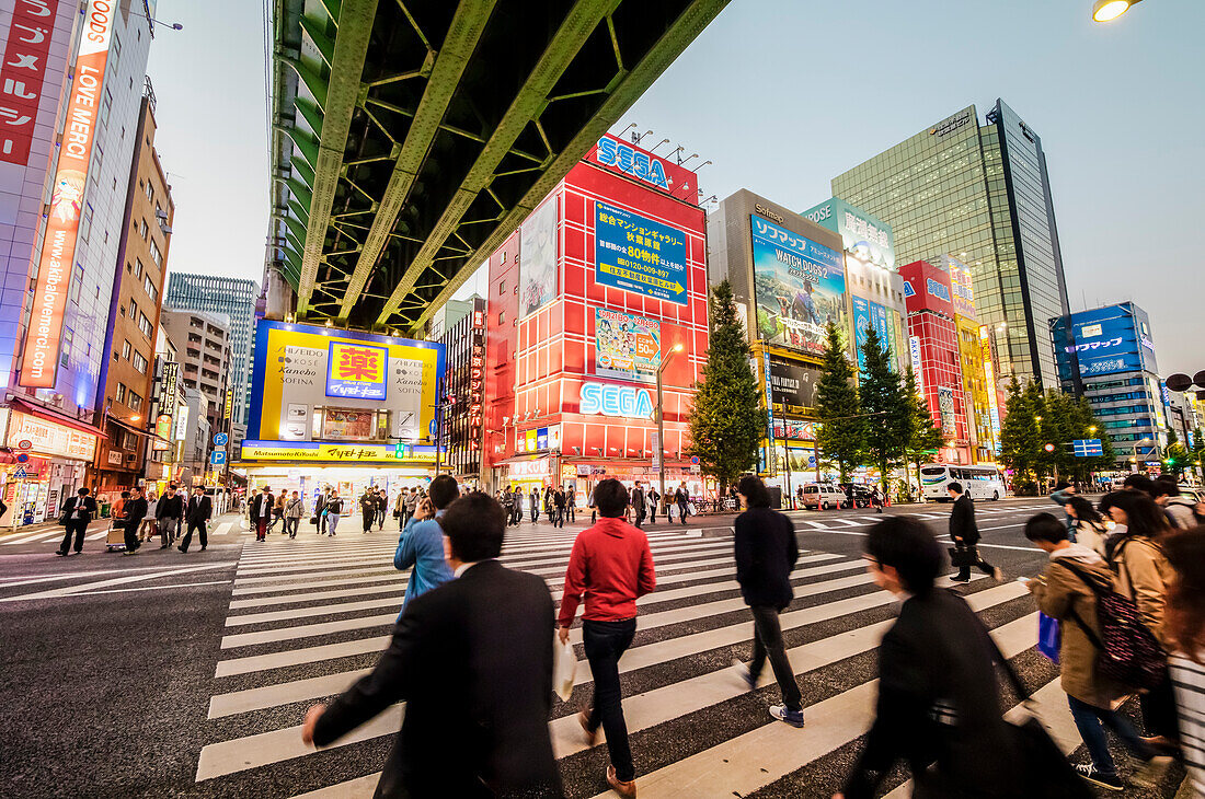 Fußgängern überqueren Chuo-Dori unter der Sobu Eisenbahnlinie in Akihabara, Chiyoda-ku, Tokio, Japan