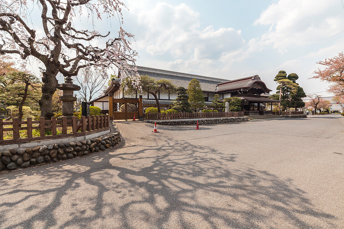 Außenansicht Honmaru Goten im Frühling mit Kirschblüte, Kawagoe, Saitama Präfektur, Japan