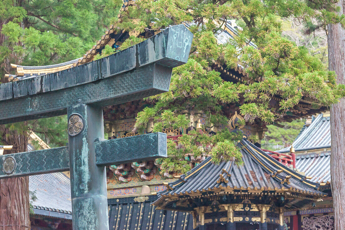 Detaillierte Großaufnahme des Torii im Toshogu-Schrein, Nikko, Tochigi Präfektur, Japan