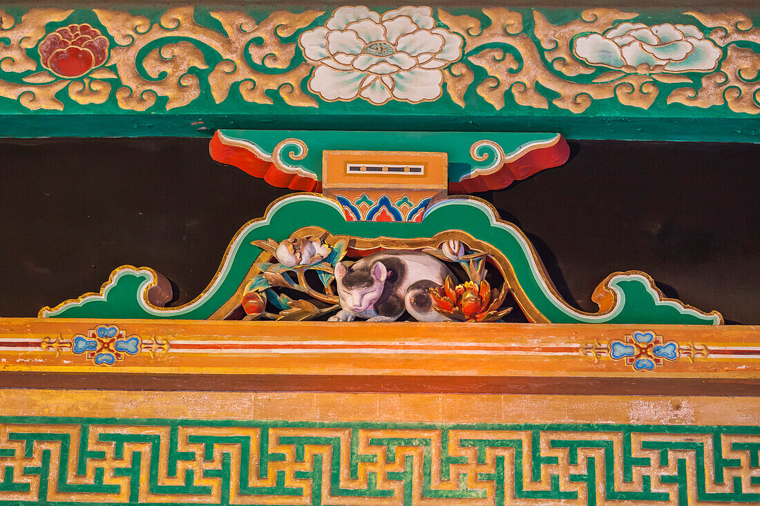 Close-up of famous sleeping cat carving at Toshogu-Shrine, Nikko, Tochigi Prefecture, Japan