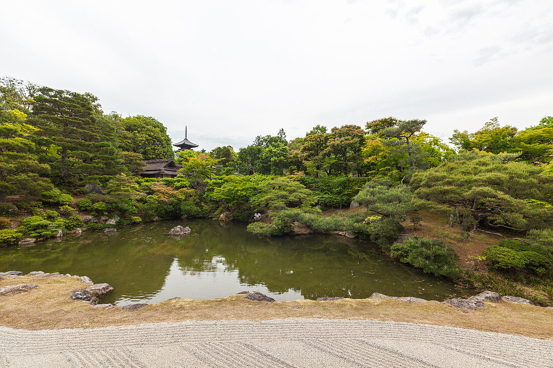 Garden with pond at temple Ninna-ji, Kyoto, Japan