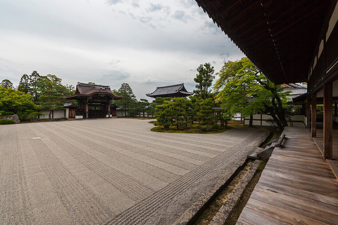 Stone garden and trees at temple Ninna-ji, Kyoto, Japan