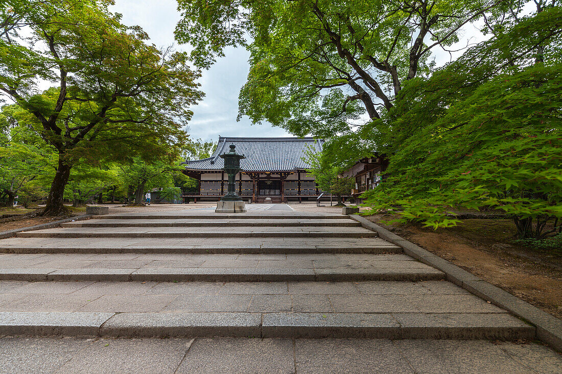 Steintreppen und Bronzelaterne im Tempel Ninna-ji, Kyoto, Japan