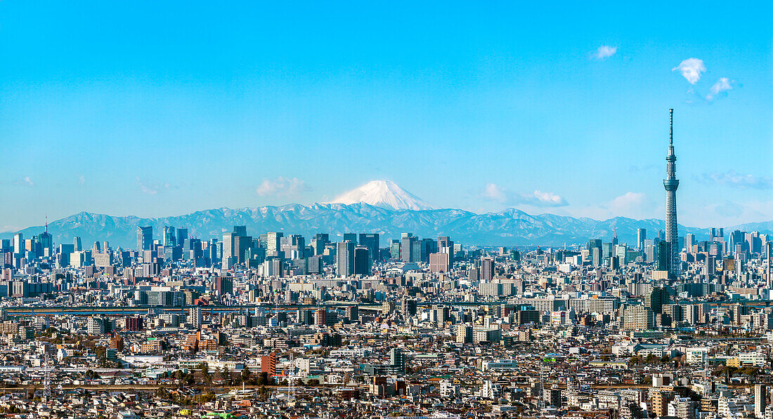 Berg Fuji mit Tokyo Skytree und Skyline vom Stadtzentrum Tokio am frühen Morgen im Winter, Sumida-ku, Tokio, Japan
