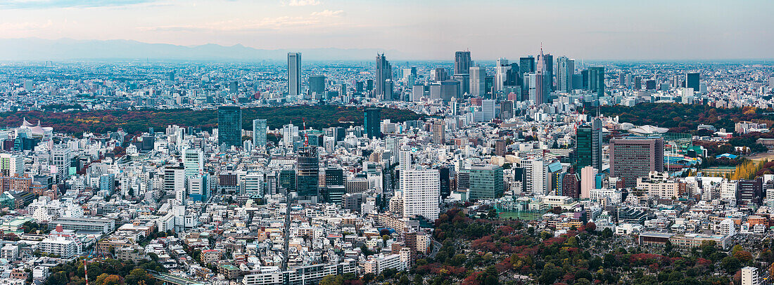 Omotesando, Aoyama and Shinjuku Skyline in autumn, Minato-ku, Tokyo, Japan