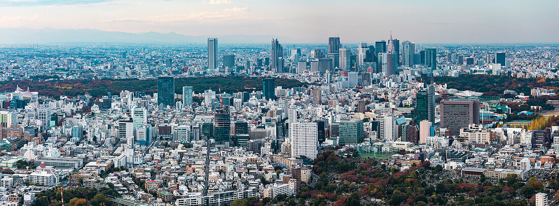 Omotesando, Aoyama und Shinjuku Skyline im Herbst, Minato-ku, Tokio, Japan