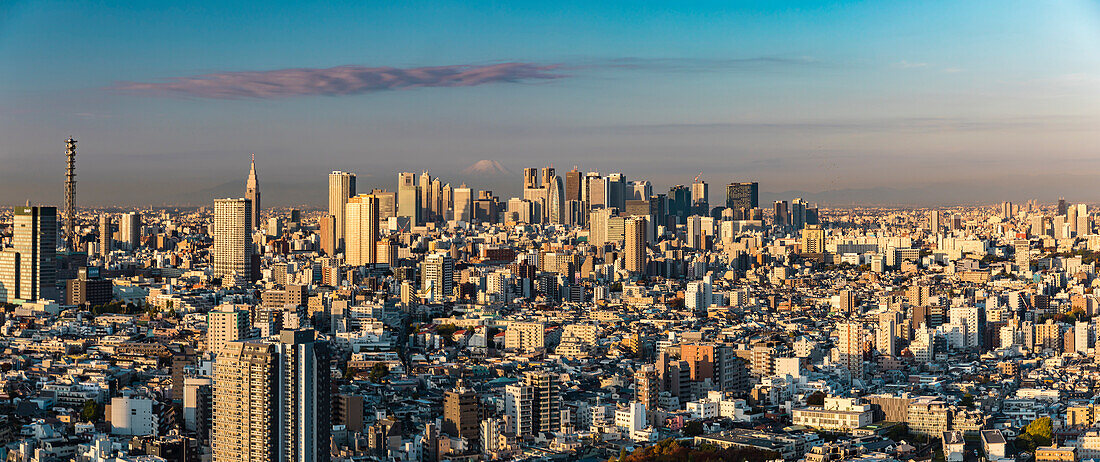 Shinjuku Skyline mit Berg Fuji und Wolken am frühen Morgen, Tokio, Japan