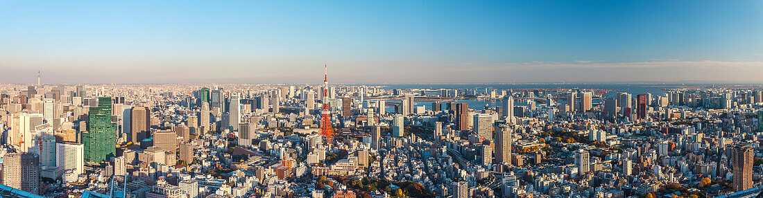 Tokio Skyline gesehen von Roppongi Hills mit Skytree, Tokyo Tower und Bucht, Minato-ku, Tokio, Japan
