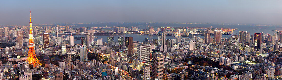 Tokyo Skyline seen from Roppongi Hills with Tokyo Tower and Bay during blue hour, Minato-ku, Tokyo, Japan