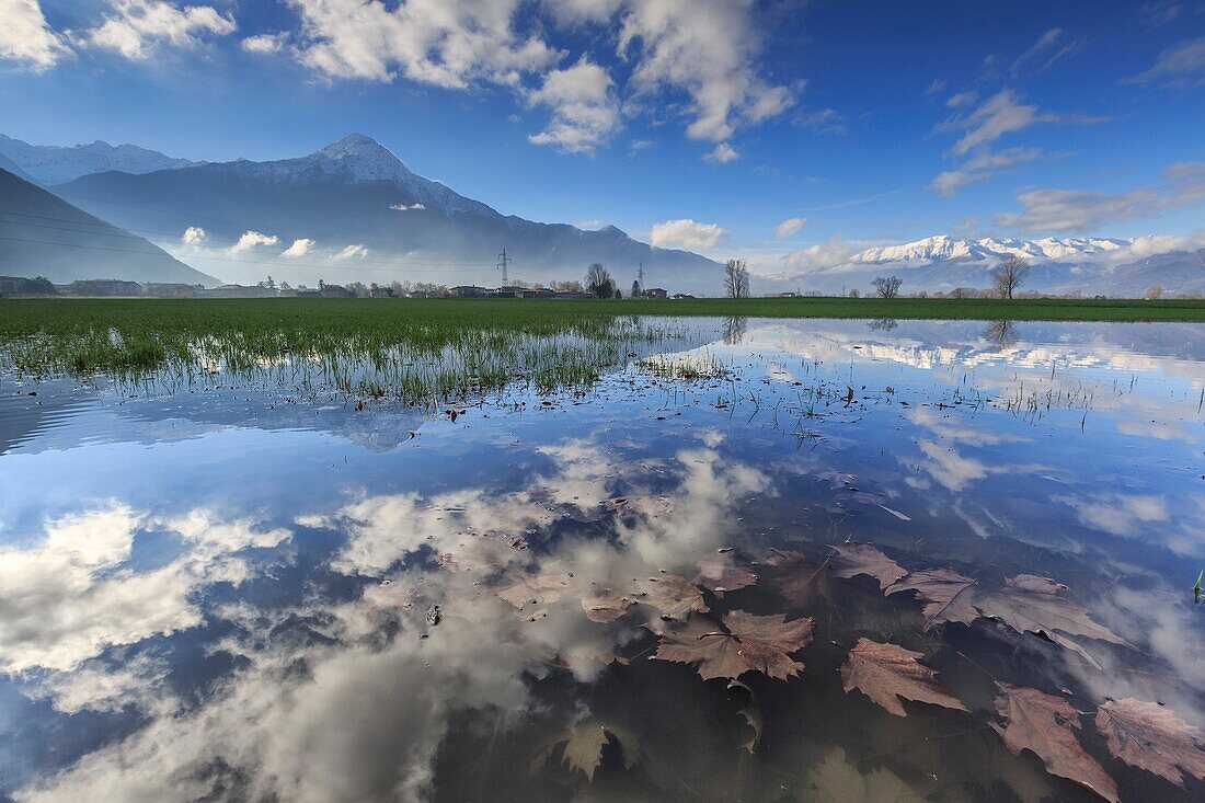 The natural reserve of Pian di Spagna flooded with Mount Legnone reflected in the water Valtellina Lombardy Italy Europe.