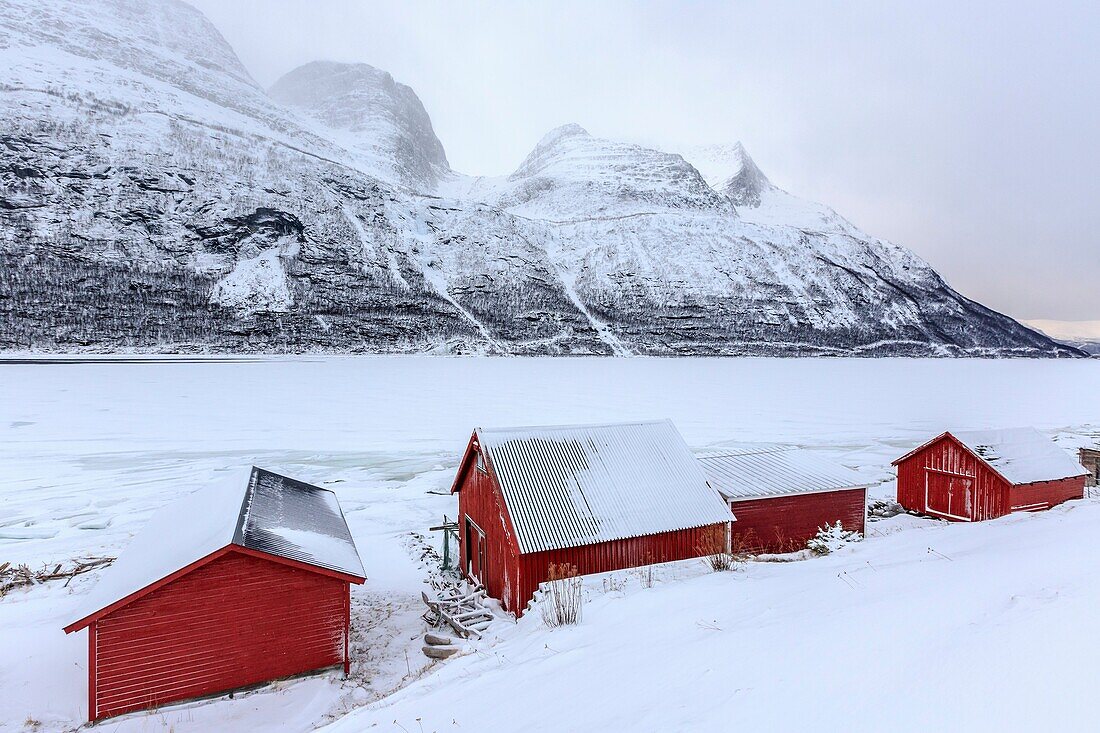 Typical wooden huts in the snowy landscape of Lyngseidet Lyngen Alps Tromsø Lapland Norway Europe.