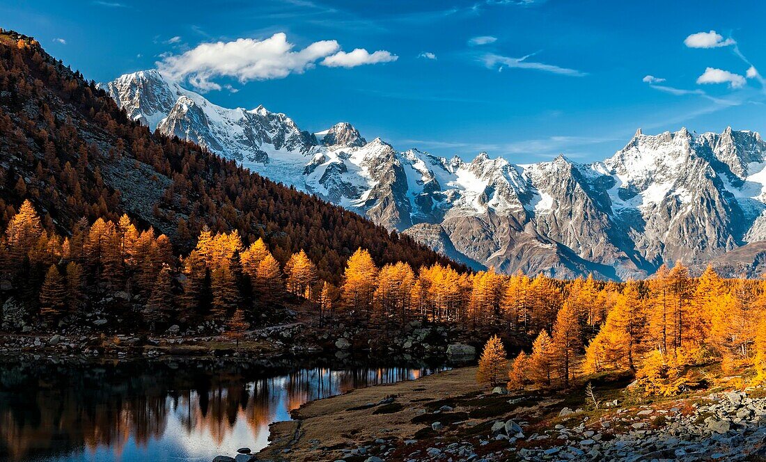 Autumn at Arpy lake, with Mont Blanc chain and Grand Jorasses. Province of Aosta, Aosta valley, Italy.