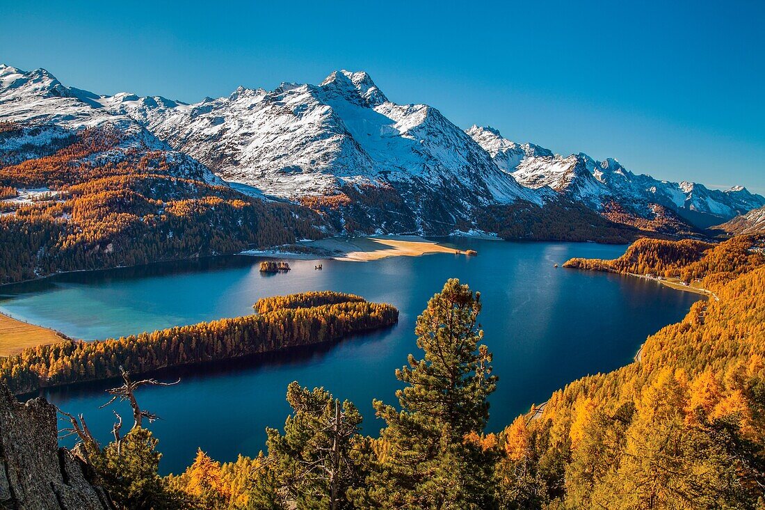 Switzerland, Engadine, Sils lake, at Silvaplana lake, in autumn. Margna peak,snowy.