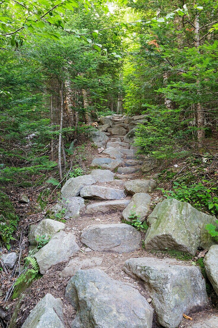 Stone staircase along Valley Way in the New Hampshire White Mountains during the summer months.