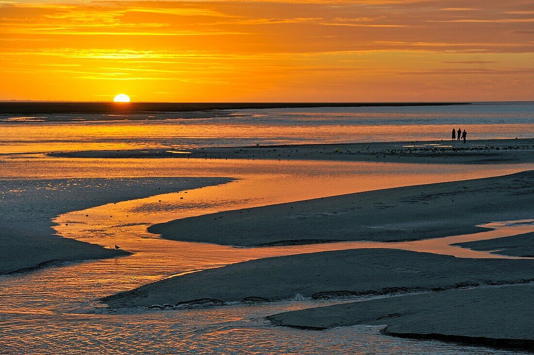 Ebbe bei Sonnenuntergang in der Bucht von Mont-Saint-Michel, Departement Manche, Region Normandie, Frankreich, Europa.