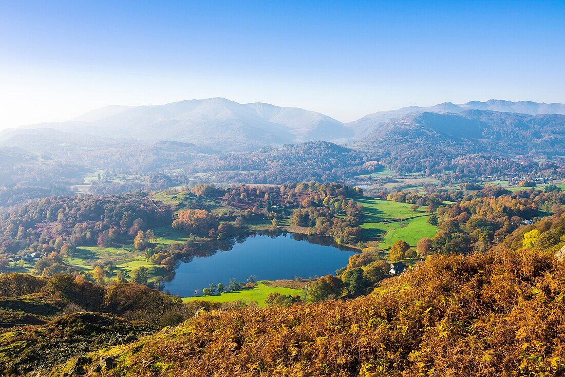 Loughrigg Tarn viewed from Loughrigg Fell with Wetherlam and Lingmoor Fell beyond. Lake District. Cumbria. England.