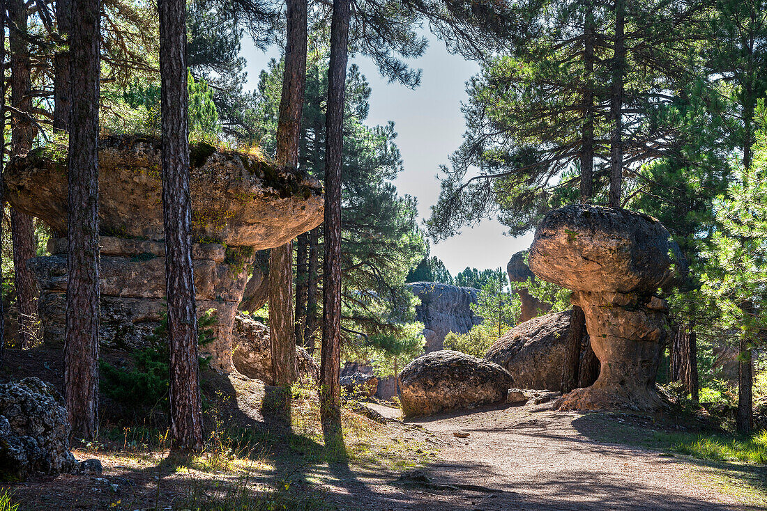 Eroded limestone outcrops in La Ciudad Encantada, The enchanted City, Park in the Serrania de Cuenca, Castilla-la Mancha, Central Spain.