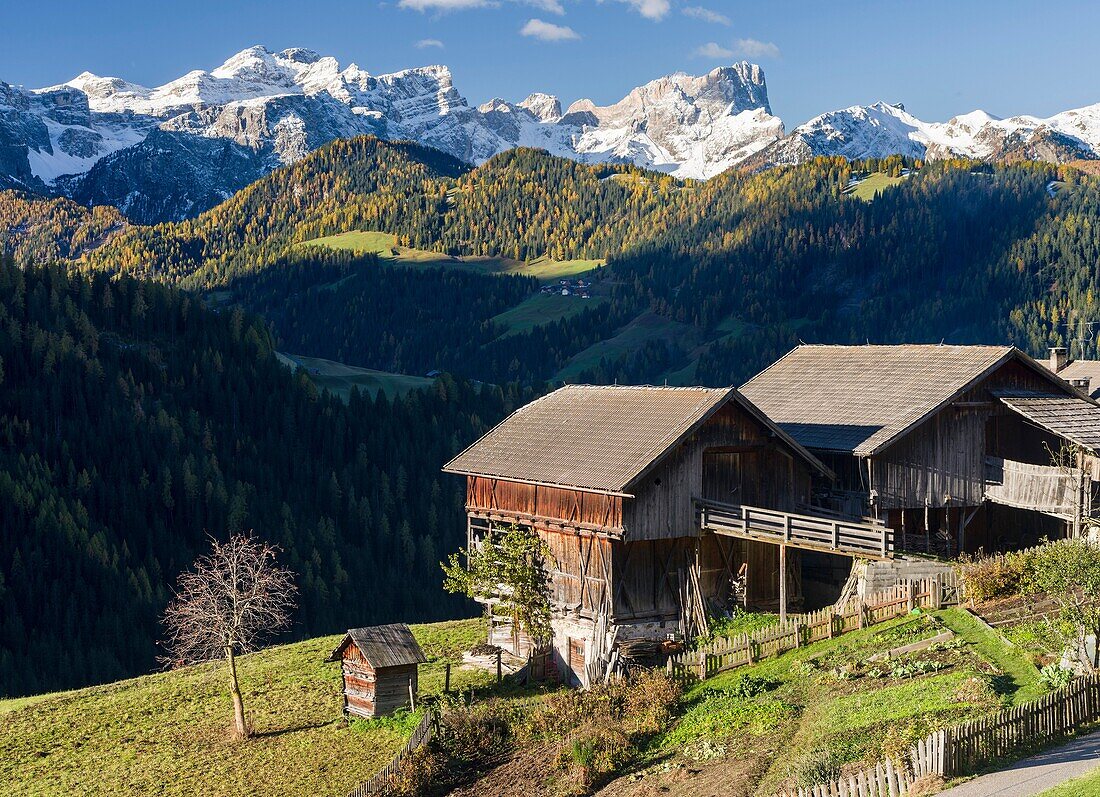 Wengen - La Valle, traditional mountain farms clustered in hamlets called Viles im Gader Valley - Val Badia in the Dolomites of South Tyrol - Alto Adige. The mountains of the nature Park Puez - Geisler - Odle in the background. europe, central europe, ita