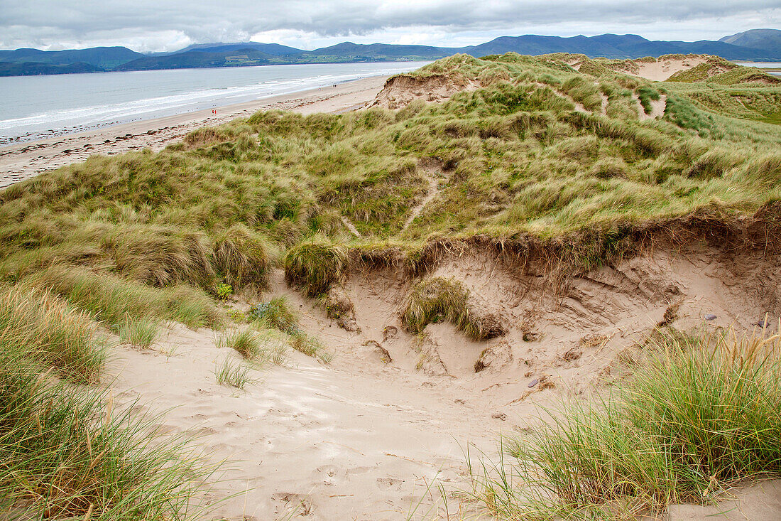 Rossbeigh Beach, County Kerry, Ireland.