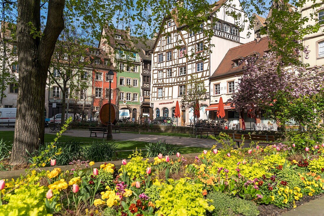Spring flowers on Place des Tripiers in the old town of Strasbourg, Alsace, France.