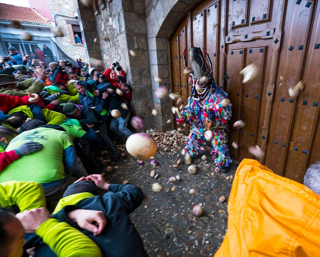 Villagers throwing turnips at Jarramplas, Carnival, Piornal, Jerte Valley, Cáceres province, Extremadura, Spain, Europe.