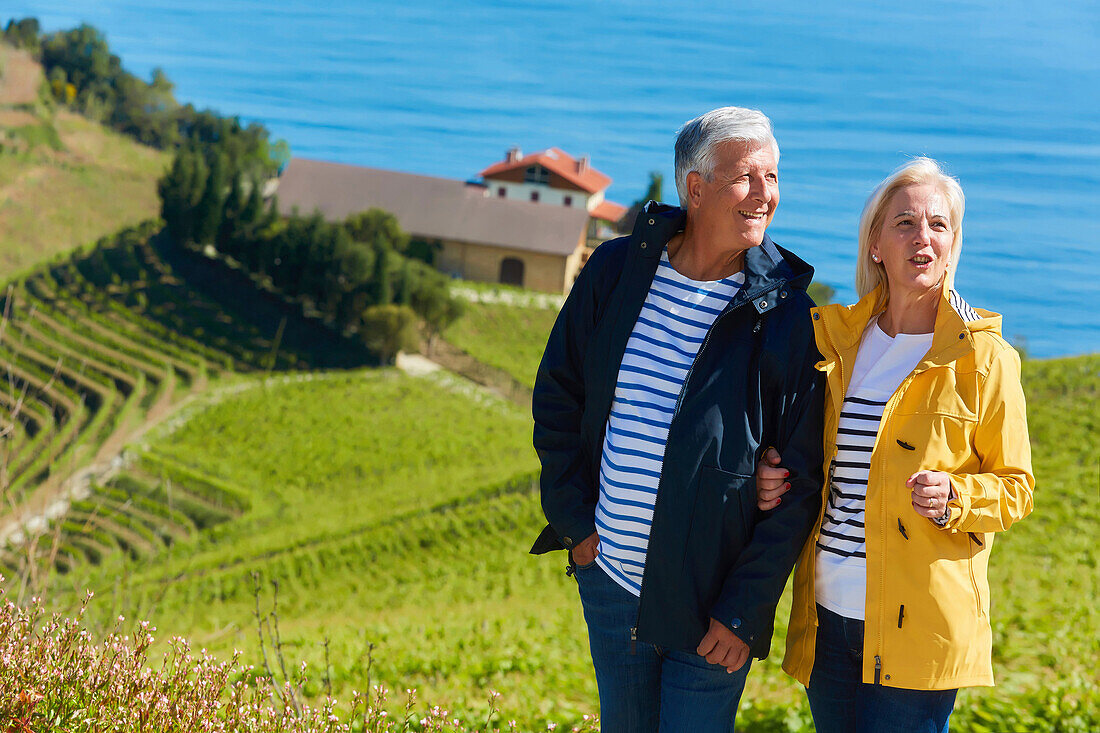 Älteres Ehepaar, 60-70, Spaziergang zwischen Txakoli-Weinbergen, Getaria, Gipuzkoa, Baskenland, Spanien, Europa