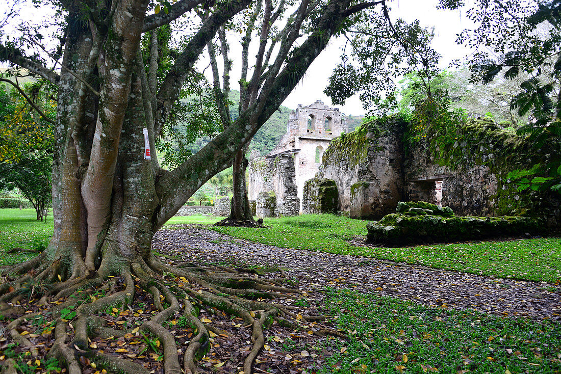 at the Centralplaza in Orosi, Orosi valley near Cartago, Costa Rica