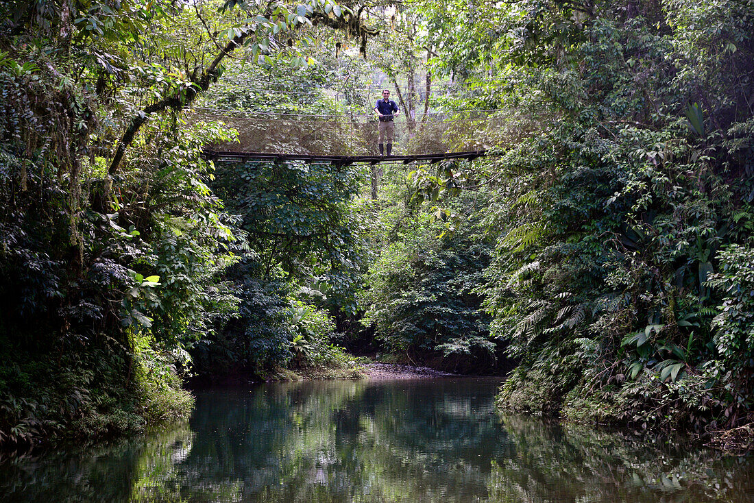an der Rainforest Aerial Tram am Nationalpark Braulio Carrillo, Zentrum, Costa Rica