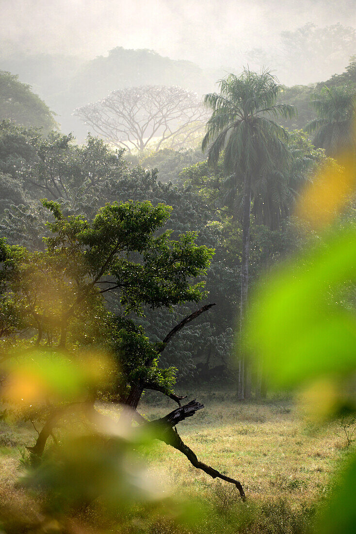 am Golf von Nicoya, Guanacaste, Costa Rica