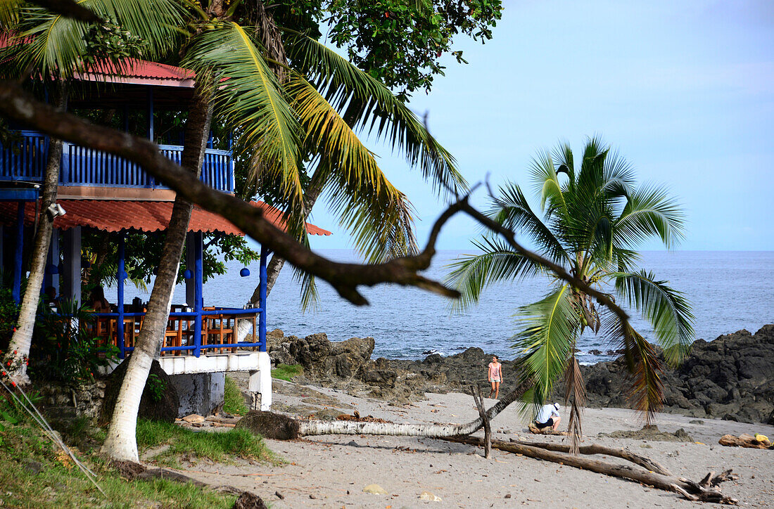 At the beach of Montezuma, peninsula Nicoya, Pazificcoast of Guanacaste, Costa Rica