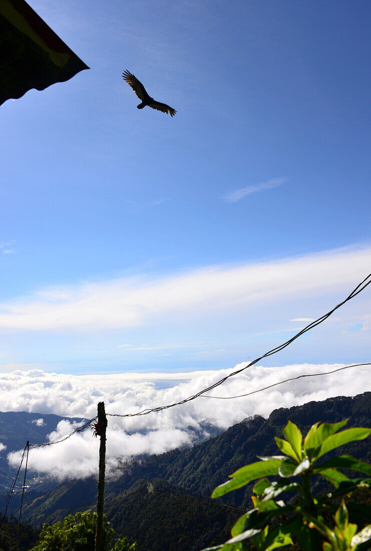 an der Panamerikana-Straße Nr. 2 zwischen San Jose und San Isidro, Blick zum Chirripo, Cordillera de Talamanca, Costa Rica