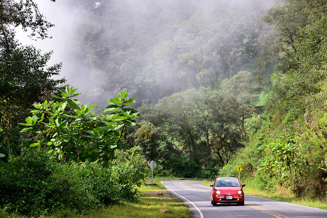an der Panamerikana-Straße Nr. 2 zwischen San Jose und San Isidro, Cordillera de Talamanca, Costa Rica