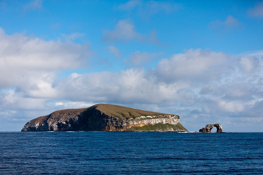 Darwin Island, Galapagos, Ecuador